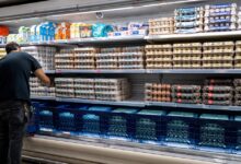 Egg producers reach federal and state settlement over allegations of price-fixing