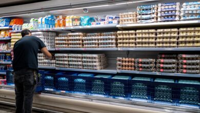 Egg producers reach federal and state settlement over allegations of price-fixing