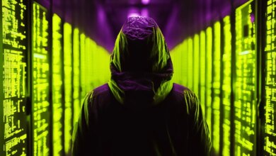 US Homeland Security Information Network Hit by Cyber Intruders, Exposing Sensitive Government Data