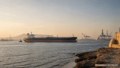 US Launches ‘Operation Economic Outcast’: New Sanctions Target Iran’s Revenue Lifelines US Launches ‘Operation Economic Outcast’: New Sanctions Target Iran’s Revenue Lifelines