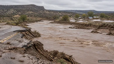 The Rain Isn’t Done, and Neither Is the Bill: New Mexico Puts a Number on the Flood The Rain Isn’t Done, and Neither Is the Bill: New Mexico Puts a Number on the Flood