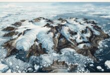 NASA Satellite Images Reveal a Skull-Like Glacier Landscape on Antarctica’s Vega Island