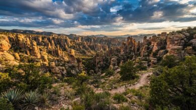 Chiricahua Becomes a National Park, Bringing New Attention to Arizona’s Wonderland of Rocks