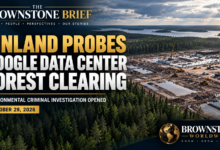Special Report: Finland Opens Criminal Probe Into Google’s Forest Clearing for Data Center