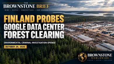 Special Report: Finland Opens Criminal Probe Into Google’s Forest Clearing for Data Center Special Report: Finland Opens Criminal Probe Into Google’s Forest Clearing for Data Center